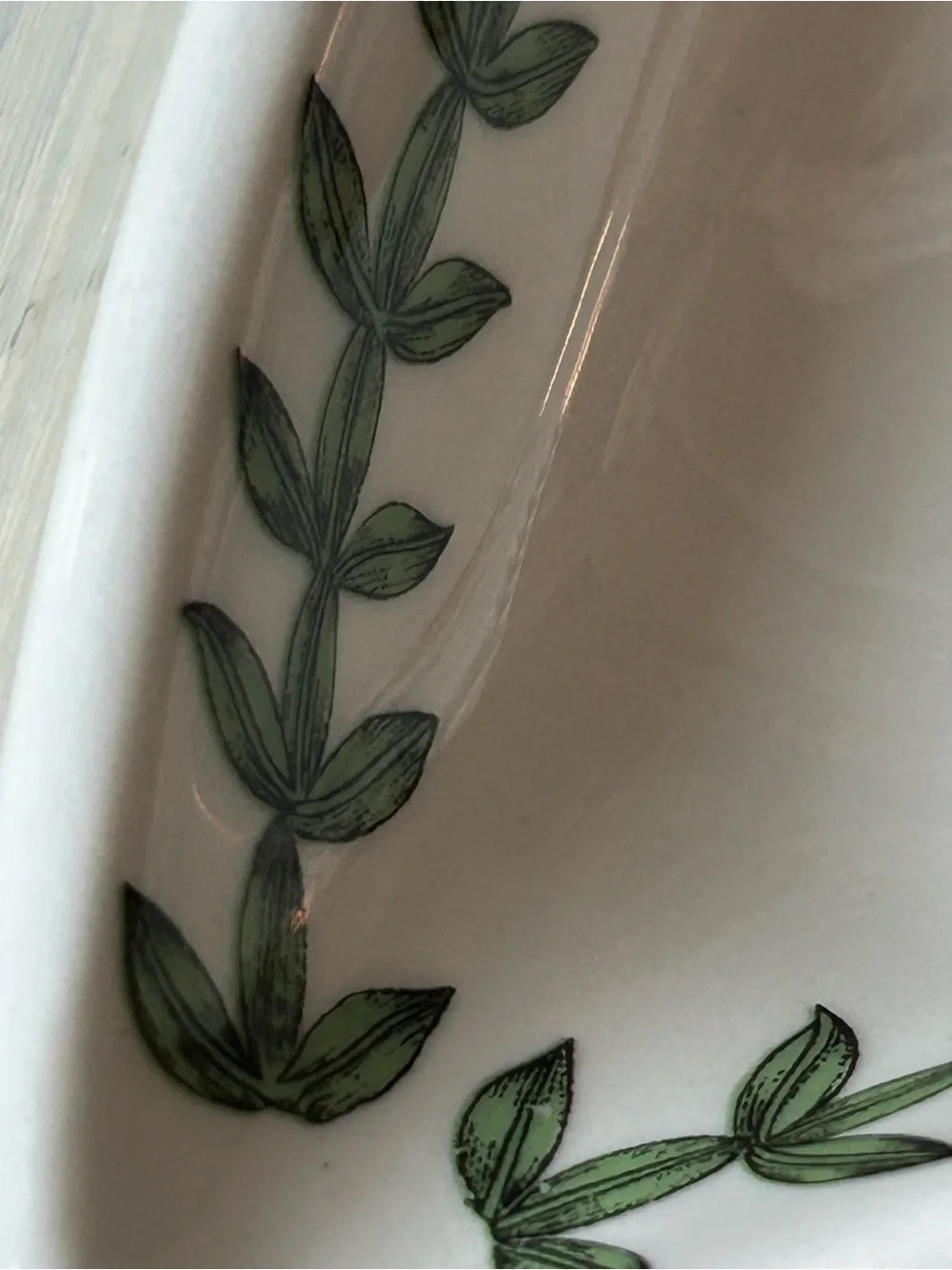 4 PORTMEIRON BOTANIC GARDEN Crescent Salad Plate Floral Butterflies Leaf Rim